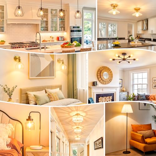 A19 Vintage LED Edison Bulbs Dimmable 60W Equivalent High Brightness (4 Count)
