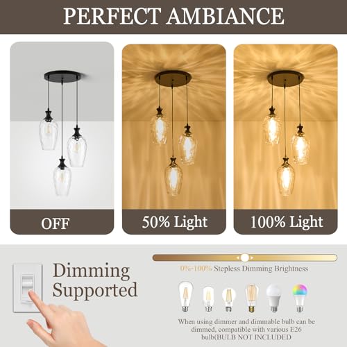 3 Light Cluster Pendant Lighting