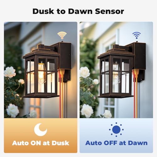 Dusk to Dawn Outdoor Light with Outlet