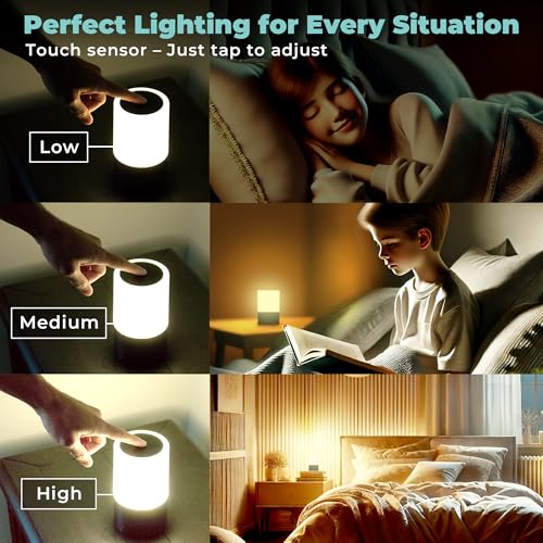LFI Lights Emergency Table Lamp for Power Outages