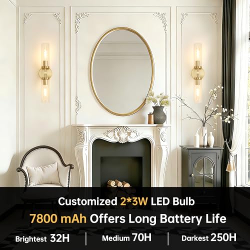 Set of 2 Wall Sconces (2 Count)