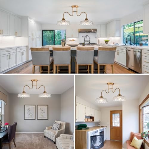 Glass Chandelier Ceiling Pendant Lighting Fixture 2 Lights Hanging Lamp for Bedroom Living Room Mater Room Hallway