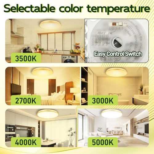 32 Inch Oval LED Ceiling Light
