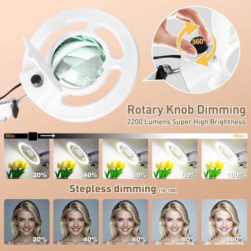 2200 Lumens 12X Magnifier Esthetician Light