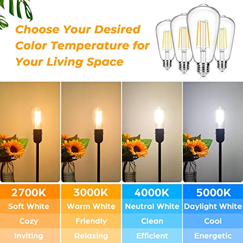 4 Pack Vintage LED Edsion Bulbs 100W Equivalent (4 Count)