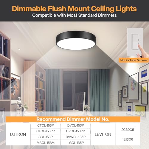 Flush Mount Ceiling Light (Black)