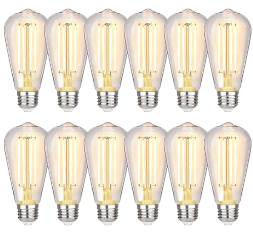 12Pack Vintage LED Edison Bulbs (12 Count)