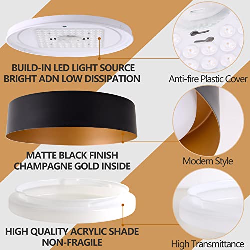 16.5 Inch Flush Mount Ceiling Light