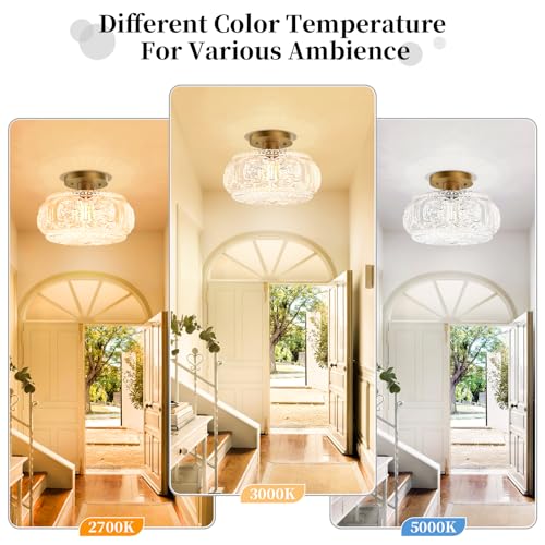 11 Inch Globe Glass Semi Flush Mount Ceiling Light Fixture