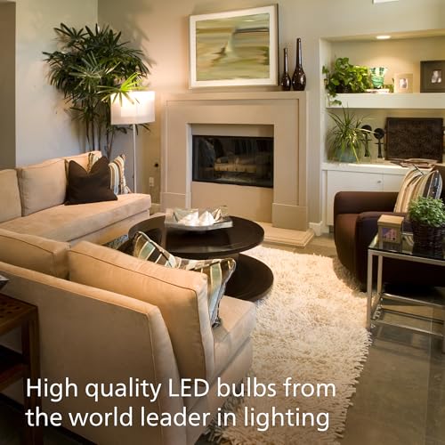 A19 Light Bulbs (12 Count)