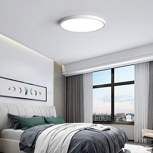 LED Ceiling Light