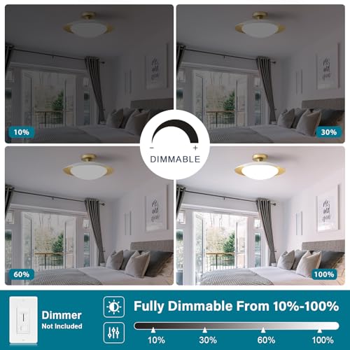 Dimmable Modern LED White and Gold Ceiling Light Fixture 15.75 in
