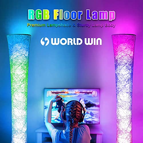 2 Pcs Floor Lamp