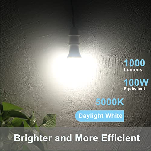 Dusk to Dawn Light Bulbs (2 Count)