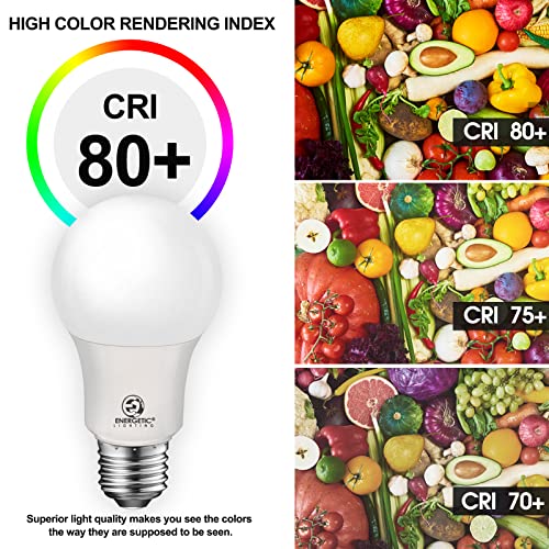 Energetic LED Bulbs 100 Watt Equivalent (6 Count)