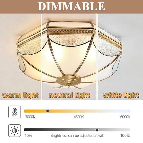 Vintage Style Brass Ceiling Light Fixture