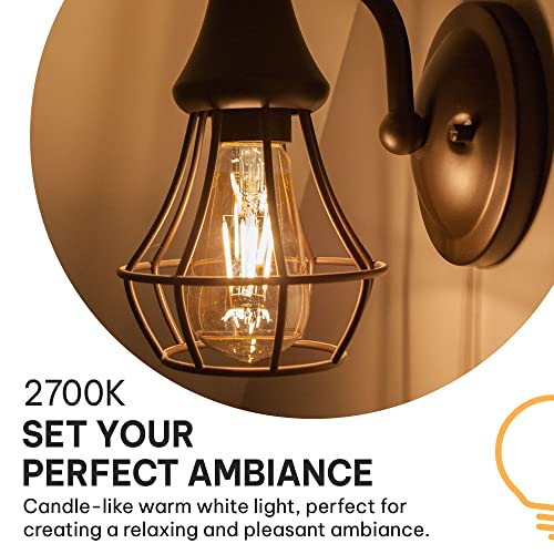 Vintage Edison LED Light Bulbs 6W (6 Count)