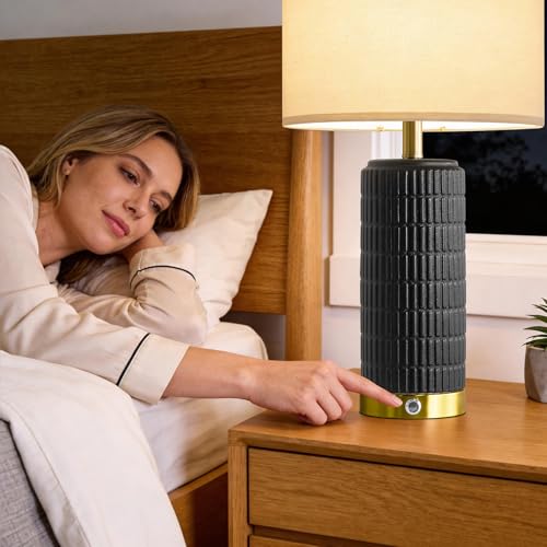 Ceramic Table Lamps Set of 2 for Living Room (2 Count)