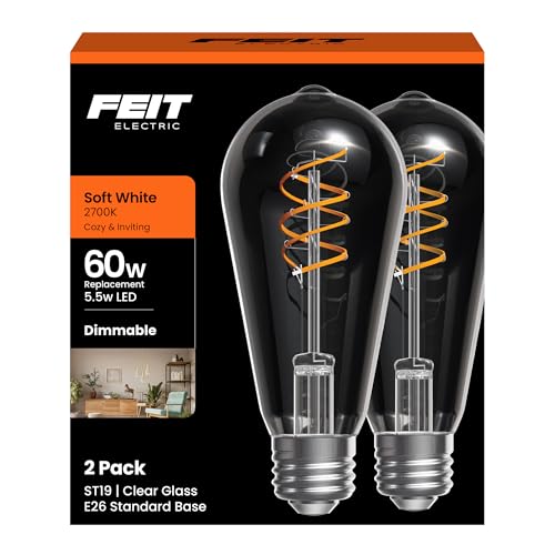 ST19 Vintage LED Light Bulb (2 Count)