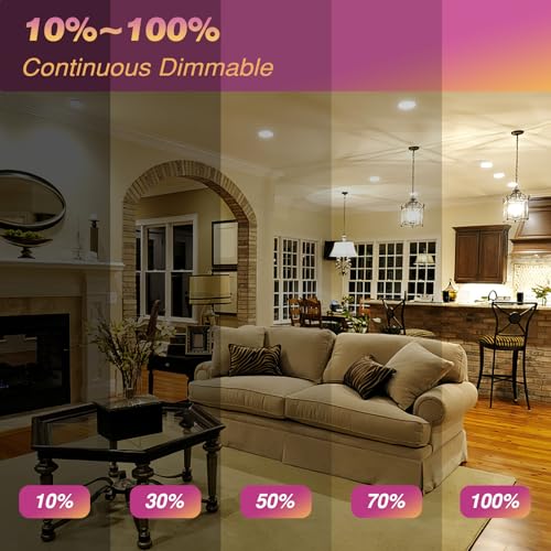 LED Light Bulbs PAR38 Full Glass (4 Count)