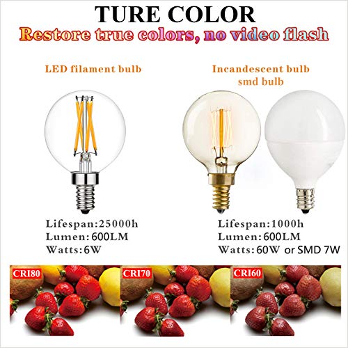 G16.5 E12 Bulb (6 Count)