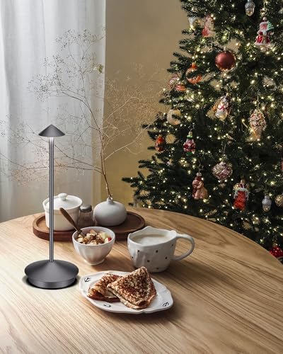 Portable Led Cordless Lamp Table Light 2 Pack