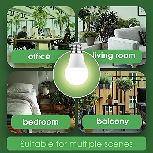 Grow Light Bulbs