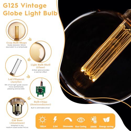 Globe Decorative Light Bulb Vintage Edison LED Soft Warm Amber G125