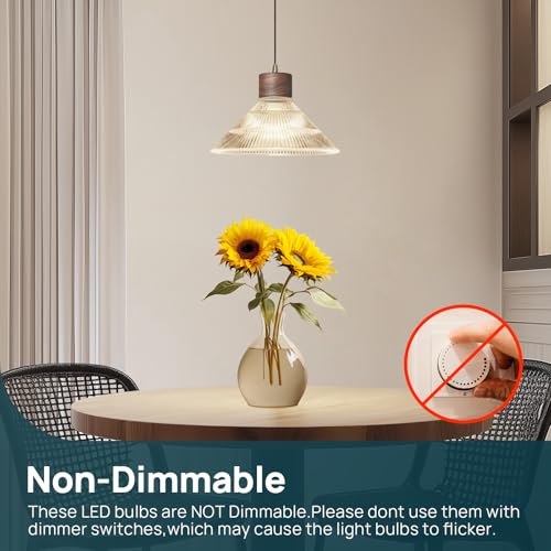 A19 LED Light Bulbs (6 Count)