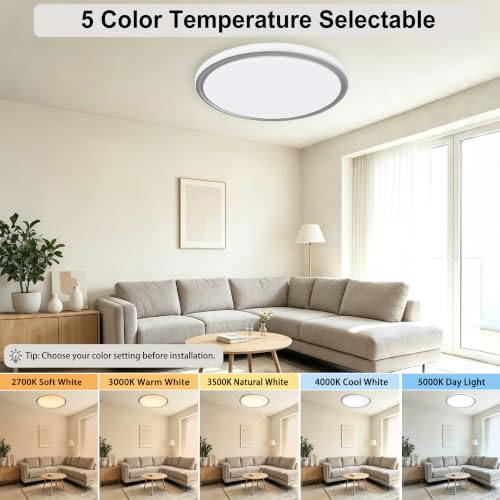 15 Inch LED Flush Mount Ceiling Light (Gray)