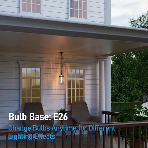 18 Inch Outdoor Pendant Light