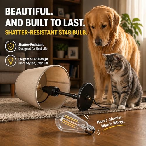 Vintage LED Edison Light Bulbs