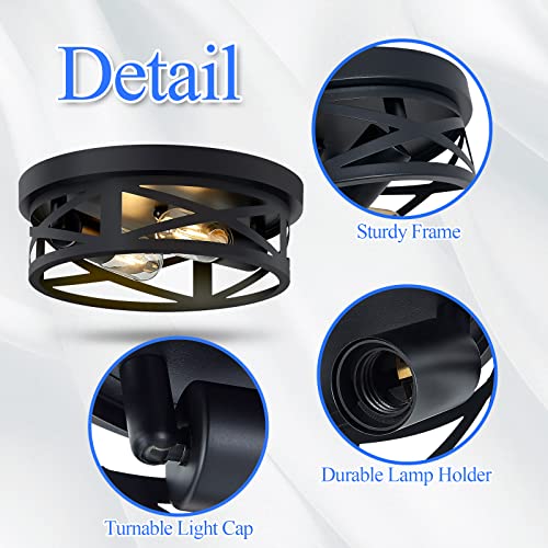 Flush Mount Ceiling Light Fixture (2 Count)