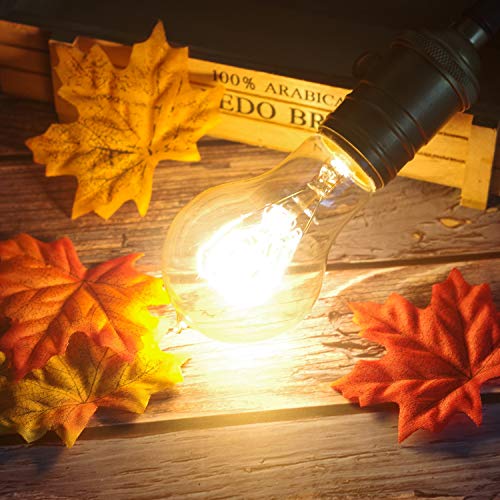 6 Pack Edison Light Bulb 60 Watt Dimmable A19 Vintage Warm Bulb (6 Count)