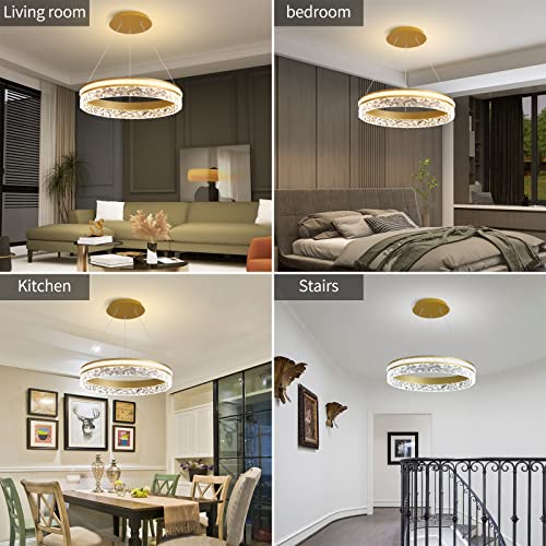 Modern LED Chandelier 1 Ring 19.7in Pendant Lighting for Kitchen Island 50W Dimmable LED Pendant Ceiling Light Gold Hanging Light with Remote for Kitchen Dining Room Bedroom Living Room