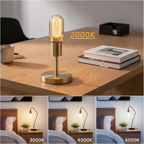 Decorative Light Bulb E26 Vintage Edison LED Dim Soft Warm Amber T45