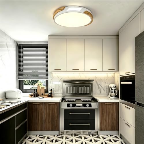 Modern LED Ceiling Light