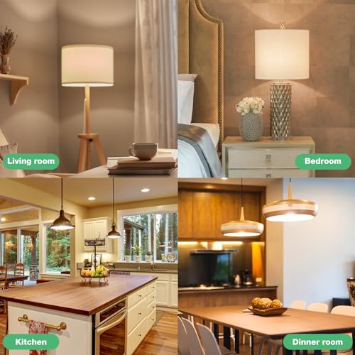 60 Pack A19 LED Bulbs 60W Equivalent (60 Count)