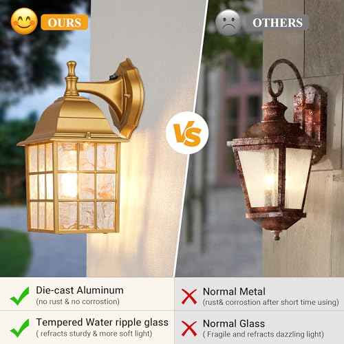 2 Pack Outdoor Light Fixtures (2 Count)
