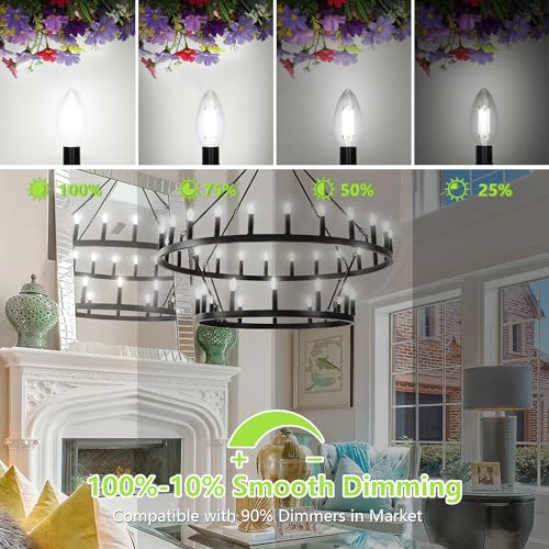 Dimmable E12 LED Candelabra Bulbs 60W Equivalent (12 Count)