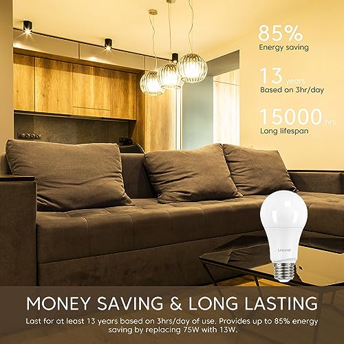 A19 LED Light Bulbs (6 Count)