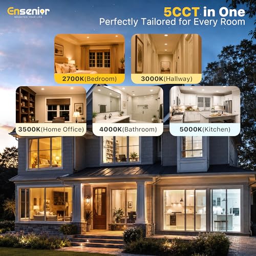 12 Pack 4 Inch LED Recessed Ceiling Light (12 Count)