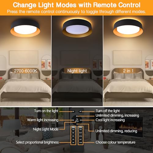 Flush Mount Ceiling Light with Remote & Night Light