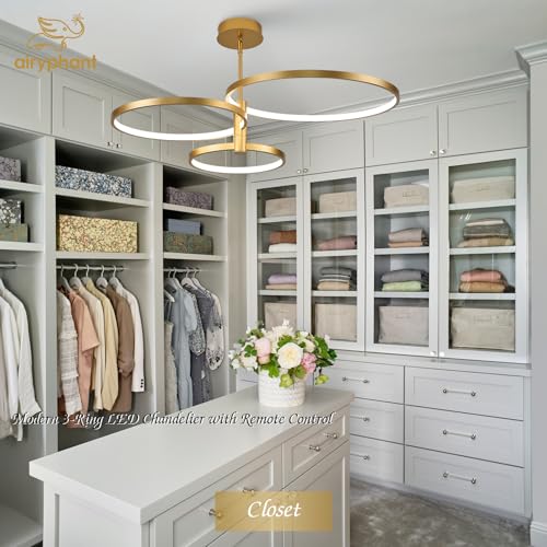LED Ring Chandelier Modern Gold Chandellier for Dining Room 3 (3 Count)