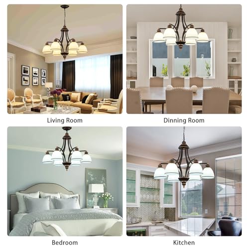 6 Light Chandelier
