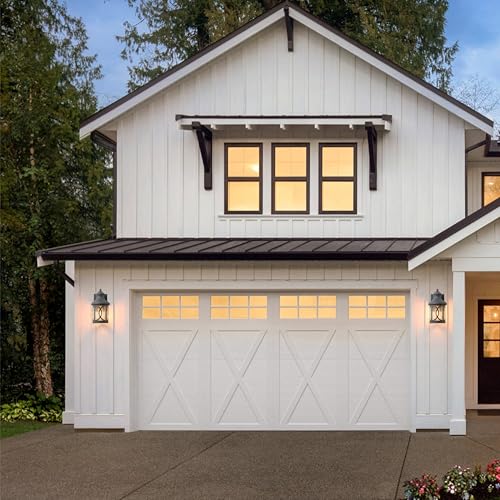 2 Pack Outdoor Wall Lights (2 Count)