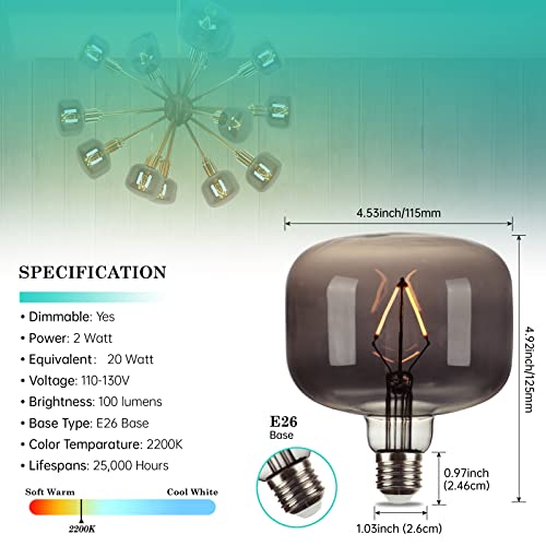Large Edison Bulbs E26 LED