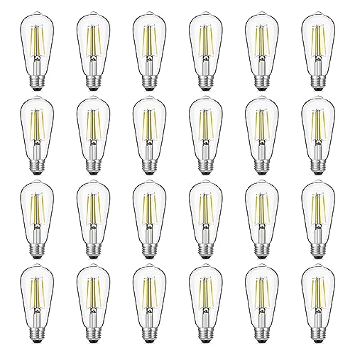 Dimmable Vintage LED Edison Bulb 60W Equivalent (24 Count)