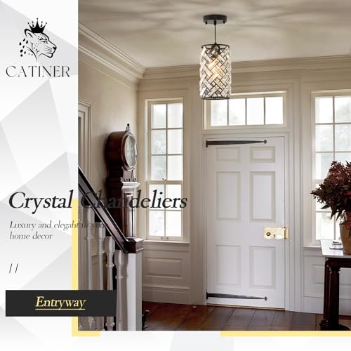 Black Crystal Pendant Light