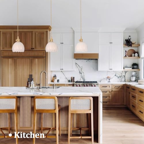 Plug in Pendant Light Hanging Light Fixture Corded On
